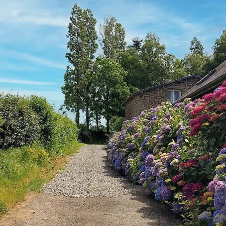 Lovely In With Wifi Holiday home